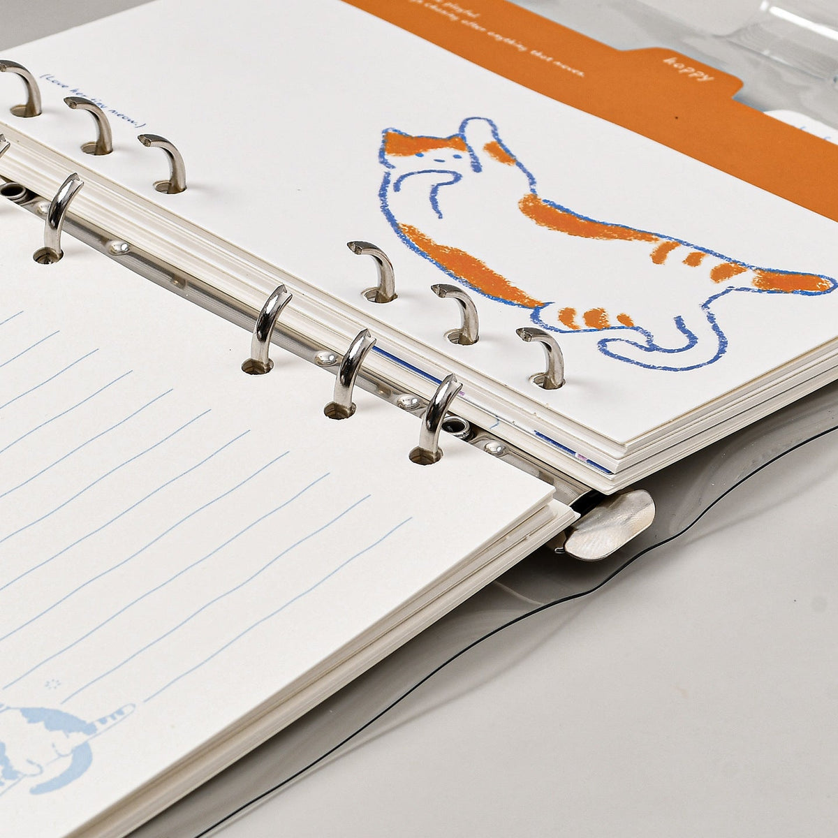 Cute Kitten Refillable Binder Notebook-Set of 4